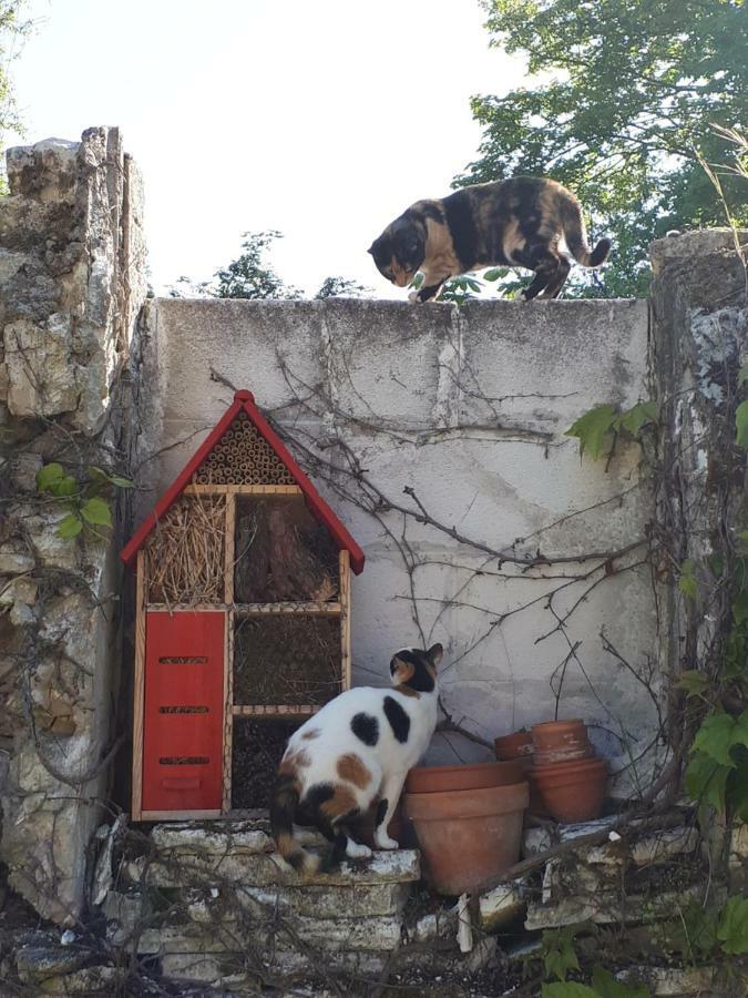 Au Chat Perche Mareil-sur-Mauldre Dış mekan fotoğraf